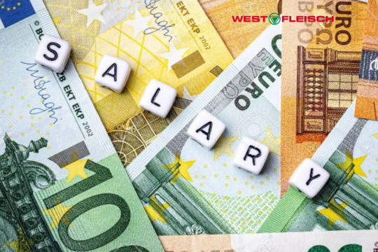 Thu nhập của người Việt tại Đức là bao nhiêu?