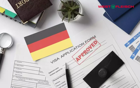 Lao động thời vụ Đức: Nên hay Không?