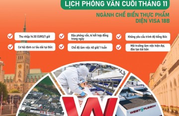 Thông báo tuyển lao động Đức tháng 11/2025